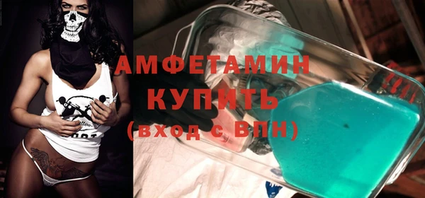 прущие грибы Галич