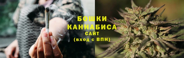 прущие грибы Галич