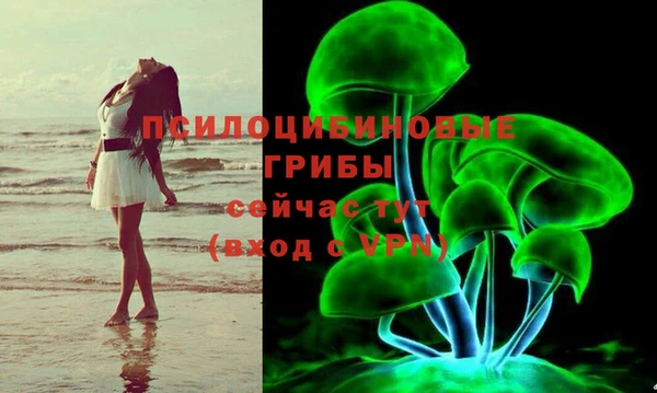 герыч Сосновка