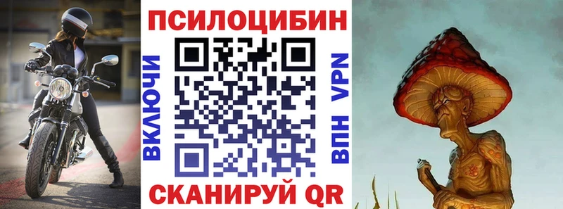 Псилоцибиновые грибы Cubensis  Белый 
